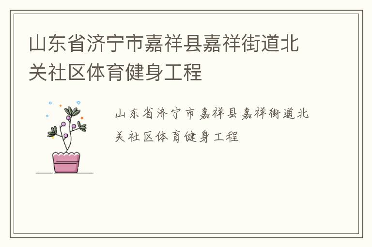 山东省济宁市嘉祥县嘉祥街道北关社区体育健身工程