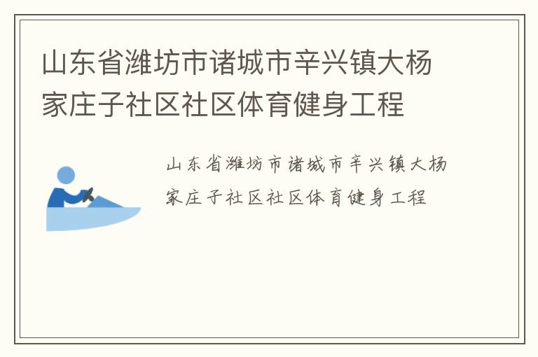 山东省潍坊市诸城市辛兴镇大杨家庄子社区社区体育健身工程