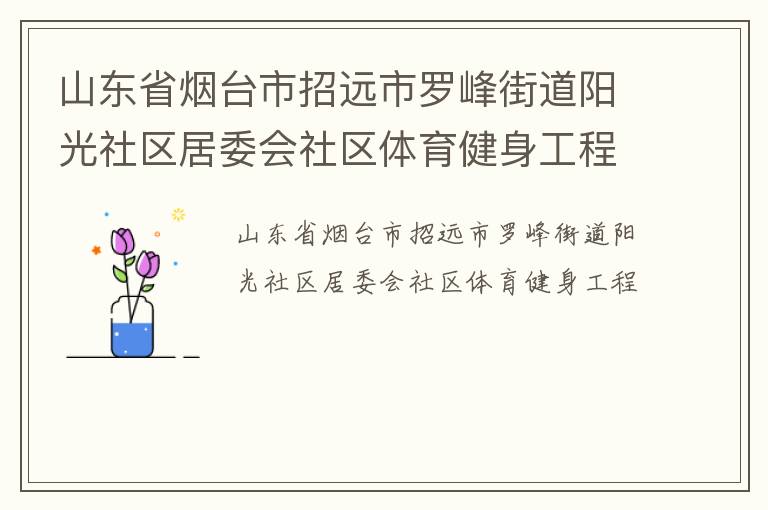 山东省烟台市招远市罗峰街道阳光社区居委会社区体育健身工程