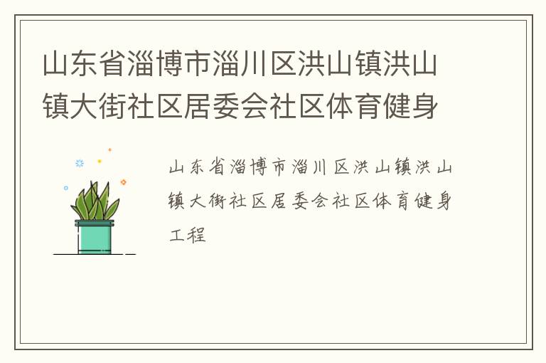 山东省淄博市淄川区洪山镇洪山镇大街社区居委会社区体育健身工程