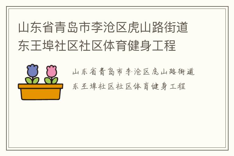 山东省青岛市李沧区虎山路街道东王埠社区社区体育健身工程