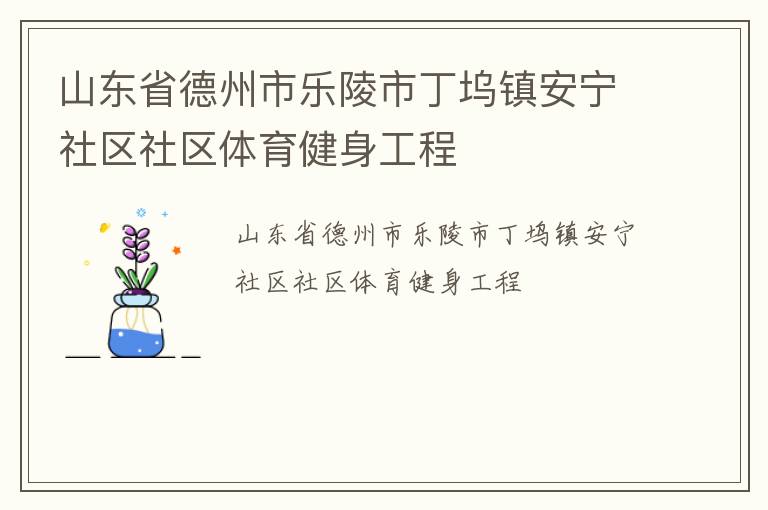 山东省德州市乐陵市丁坞镇安宁社区社区体育健身工程