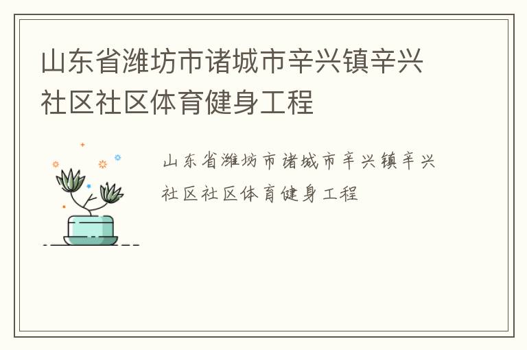 山东省潍坊市诸城市辛兴镇辛兴社区社区体育健身工程
