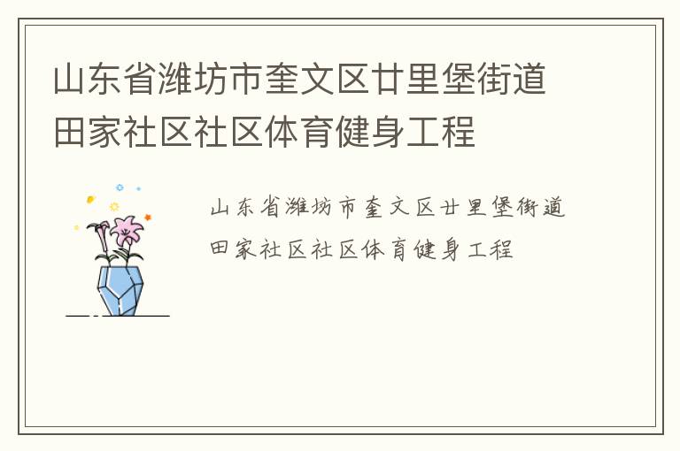 山东省潍坊市奎文区廿里堡街道田家社区社区体育健身工程