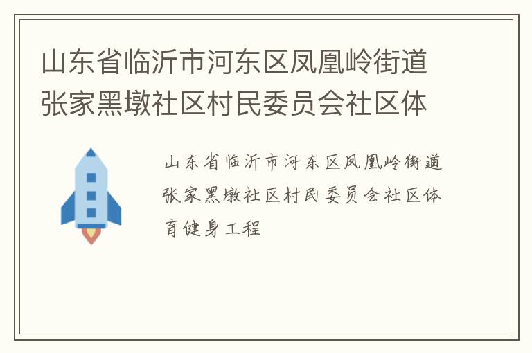 山东省临沂市河东区凤凰岭街道张家黑墩社区村民委员会社区体育健身工程