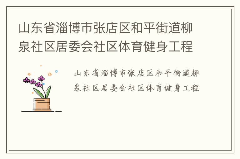 山东省淄博市张店区和平街道柳泉社区居委会社区体育健身工程