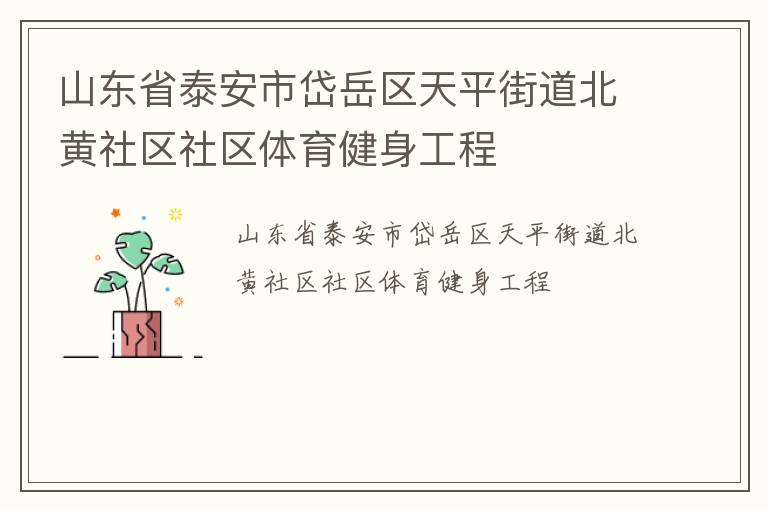 山东省泰安市岱岳区天平街道北黄社区社区体育健身工程