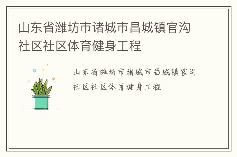 山东省潍坊市诸城市昌城镇官沟社区社区体育健身工程