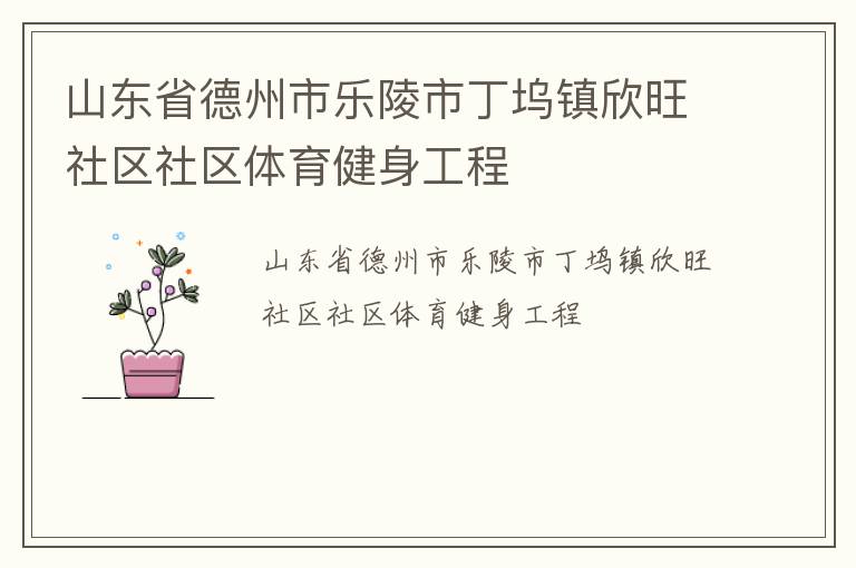 山东省德州市乐陵市丁坞镇欣旺社区社区体育健身工程