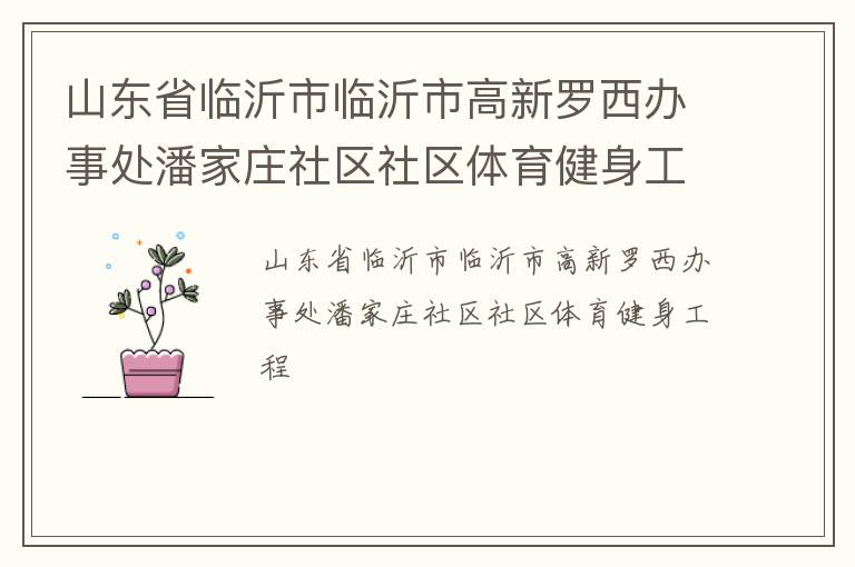 山东省临沂市临沂市高新罗西办事处潘家庄社区社区体育健身工程
