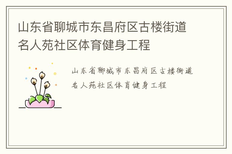 山东省聊城市东昌府区古楼街道名人苑社区体育健身工程