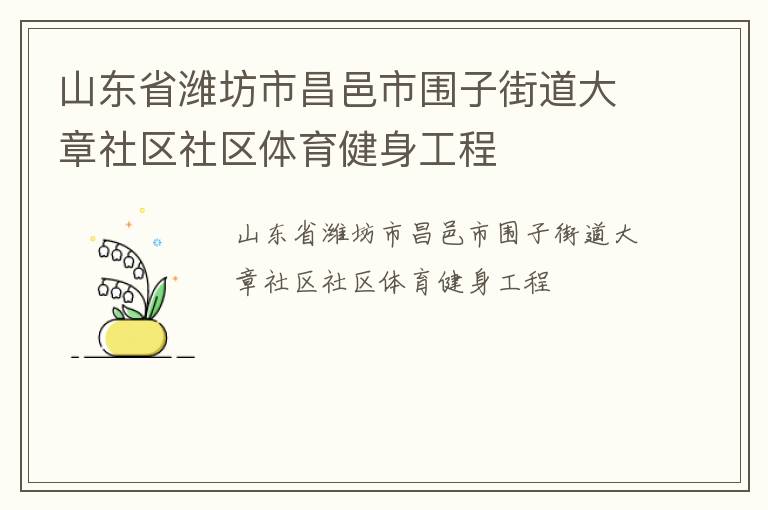山东省潍坊市昌邑市围子街道大章社区社区体育健身工程