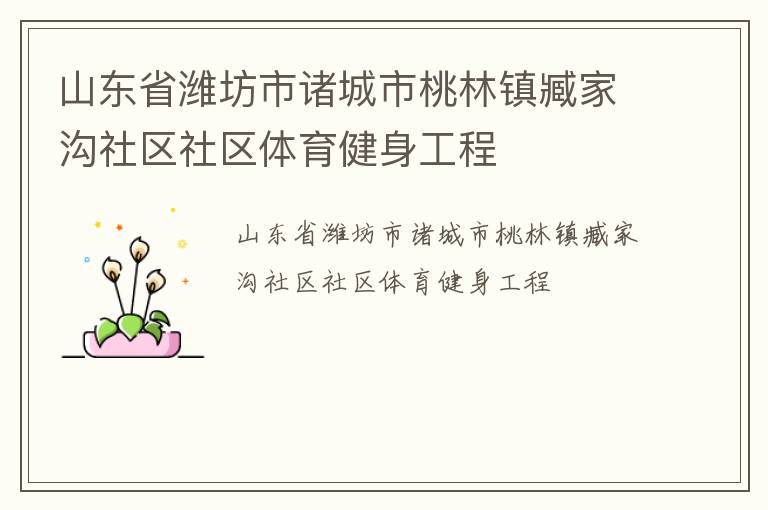山东省潍坊市诸城市桃林镇臧家沟社区社区体育健身工程