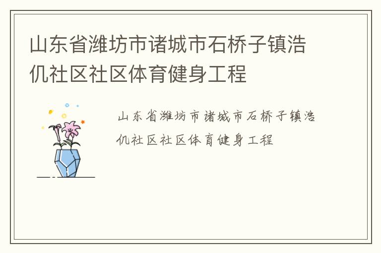 山东省潍坊市诸城市石桥子镇浩仉社区社区体育健身工程