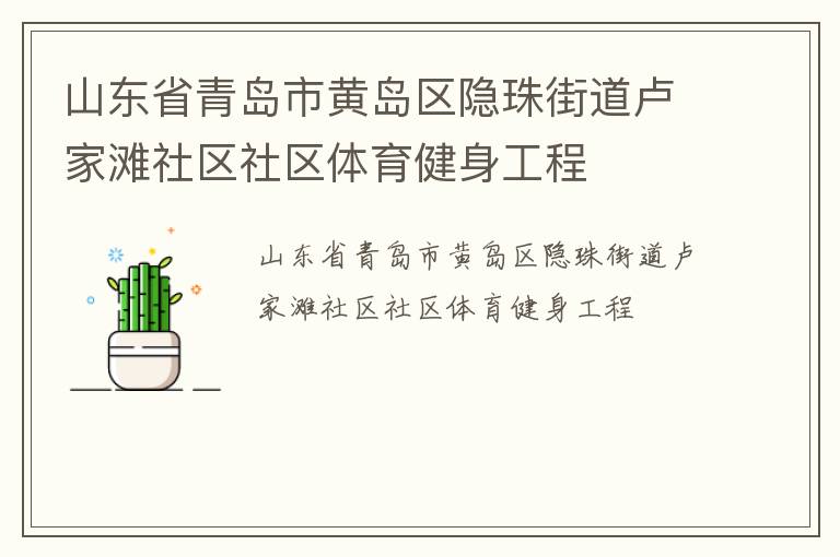 山东省青岛市黄岛区隐珠街道卢家滩社区社区体育健身工程
