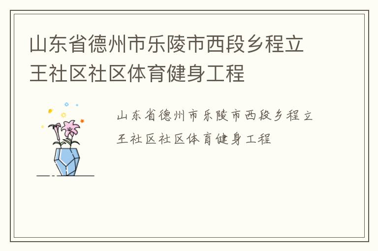 山东省德州市乐陵市西段乡程立王社区社区体育健身工程