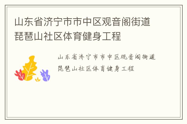 山东省济宁市市中区观音阁街道琵琶山社区体育健身工程