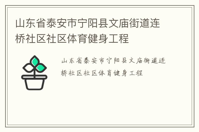 山东省泰安市宁阳县文庙街道连桥社区社区体育健身工程