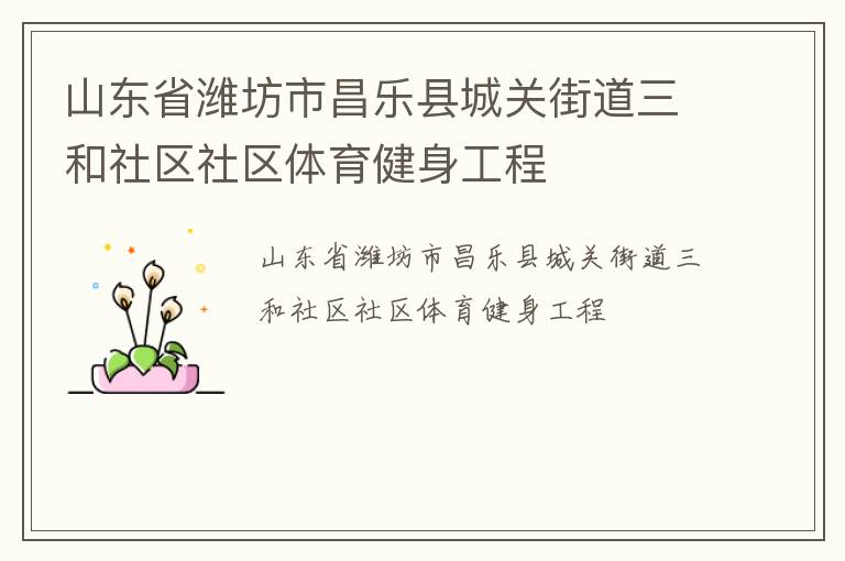 山东省潍坊市昌乐县城关街道三和社区社区体育健身工程