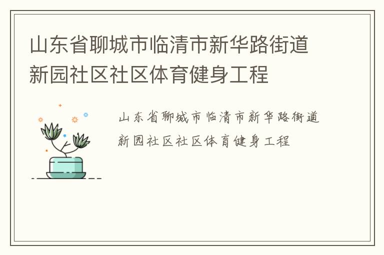 山东省聊城市临清市新华路街道新园社区社区体育健身工程