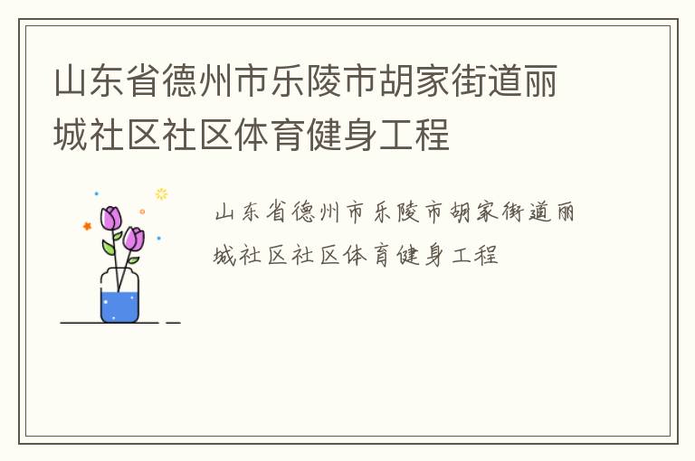 山东省德州市乐陵市胡家街道丽城社区社区体育健身工程