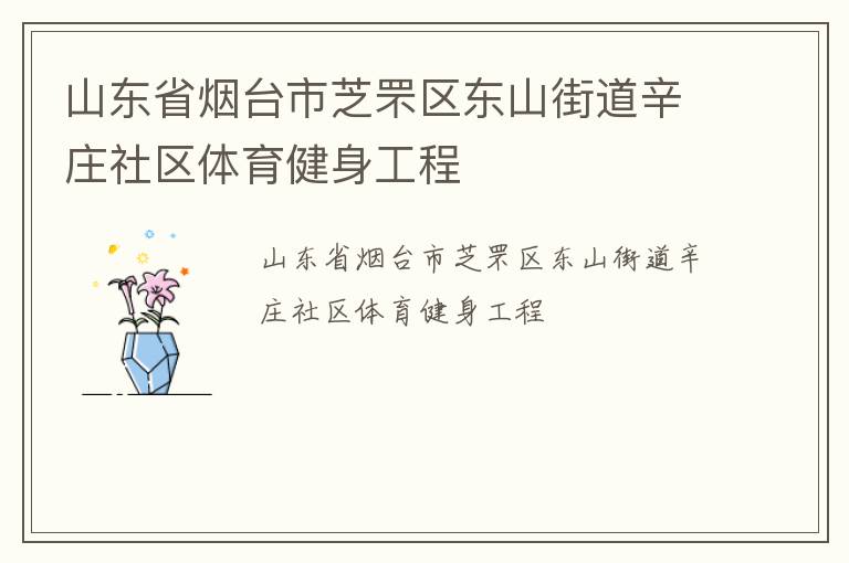 山东省烟台市芝罘区东山街道辛庄社区体育健身工程