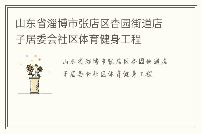 山东省淄博市张店区杏园街道店子居委会社区体育健身工程