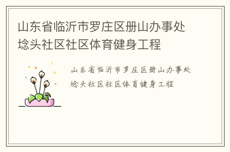 山东省临沂市罗庄区册山办事处埝头社区社区体育健身工程