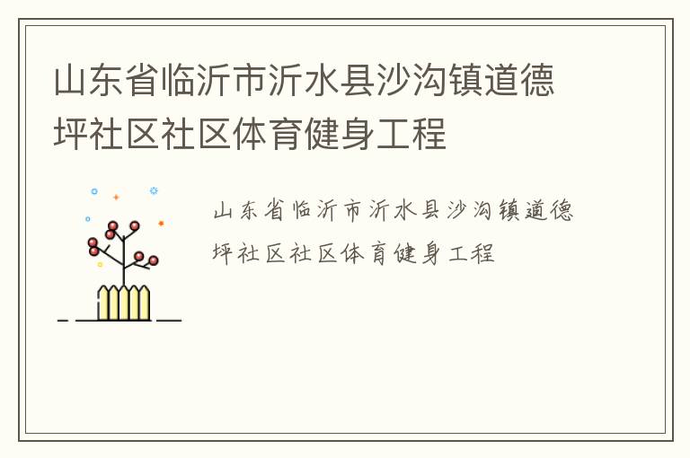 山东省临沂市沂水县沙沟镇道德坪社区社区体育健身工程