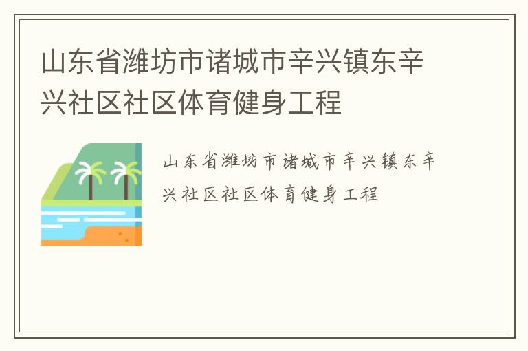山东省潍坊市诸城市辛兴镇东辛兴社区社区体育健身工程