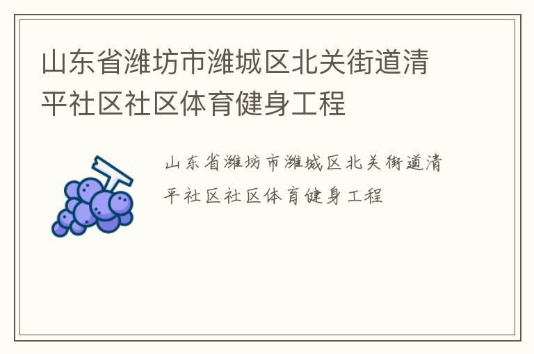山东省潍坊市潍城区北关街道清平社区社区体育健身工程
