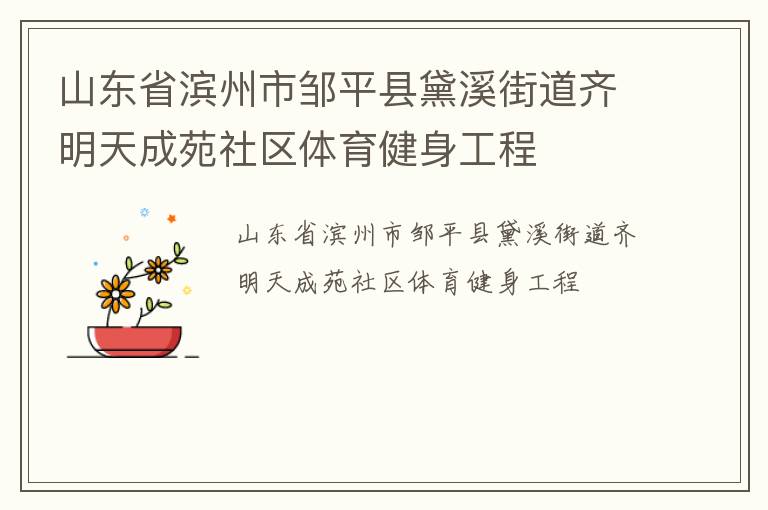 山东省滨州市邹平县黛溪街道齐明天成苑社区体育健身工程