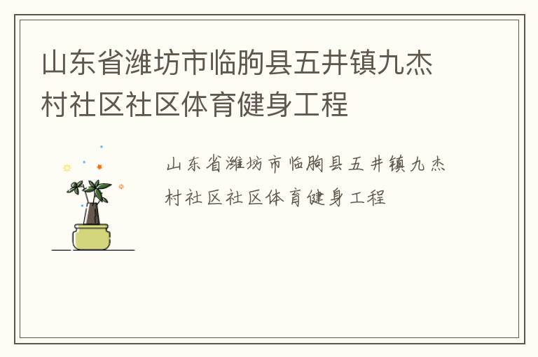 山东省潍坊市临朐县五井镇九杰村社区社区体育健身工程