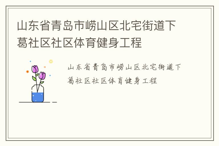 山东省青岛市崂山区北宅街道下葛社区社区体育健身工程