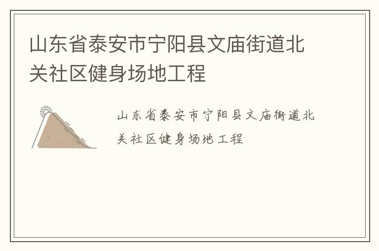 山东省泰安市宁阳县文庙街道北关社区健身场地工程
