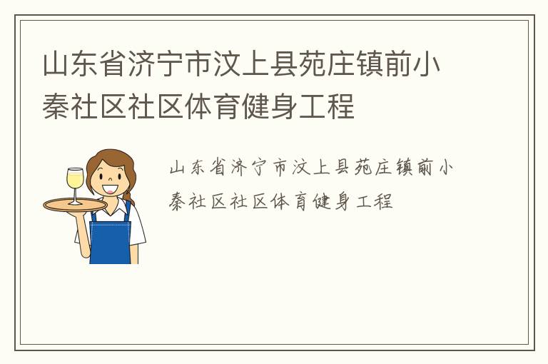 山东省济宁市汶上县苑庄镇前小秦社区社区体育健身工程