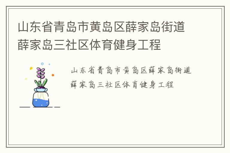 山东省青岛市黄岛区薛家岛街道薛家岛三社区体育健身工程