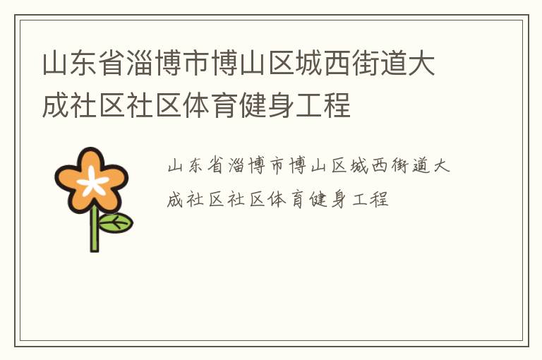 山东省淄博市博山区城西街道大成社区社区体育健身工程