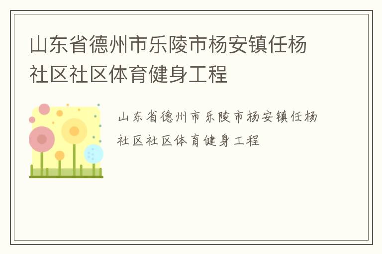 山东省德州市乐陵市杨安镇任杨社区社区体育健身工程