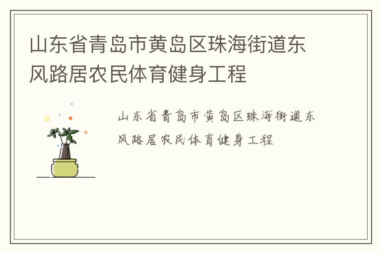 山东省青岛市黄岛区珠海街道东风路居农民体育健身工程