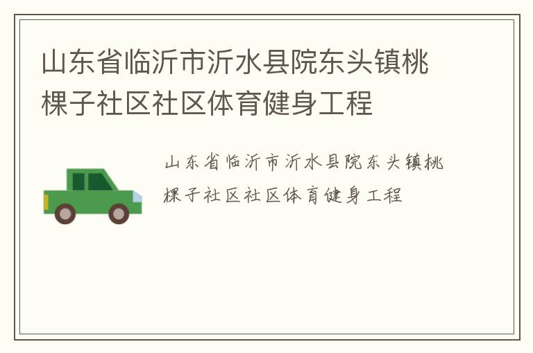 山东省临沂市沂水县院东头镇桃棵子社区社区体育健身工程