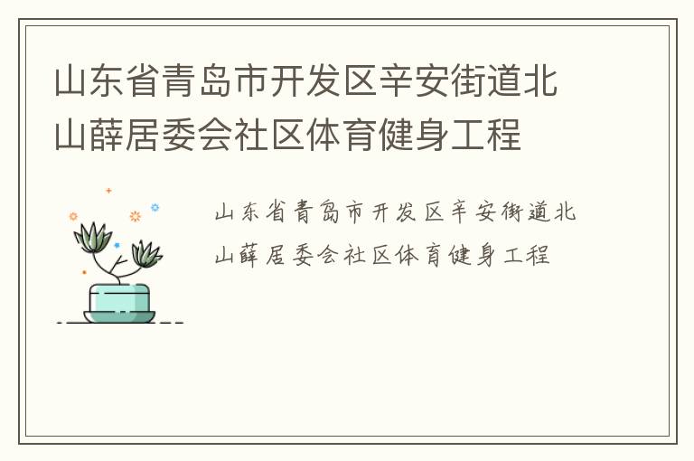山东省青岛市开发区辛安街道北山薛居委会社区体育健身工程