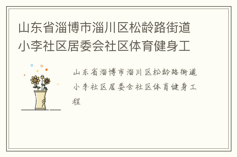 山东省淄博市淄川区松龄路街道小李社区居委会社区体育健身工程