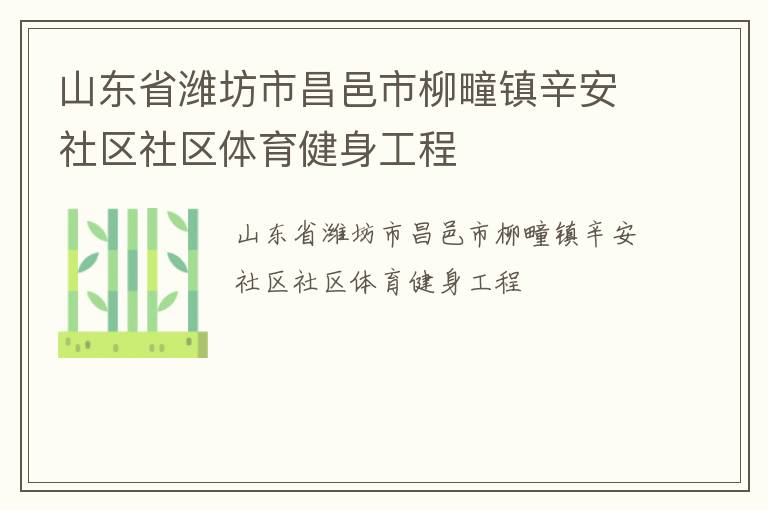 山东省潍坊市昌邑市柳疃镇辛安社区社区体育健身工程