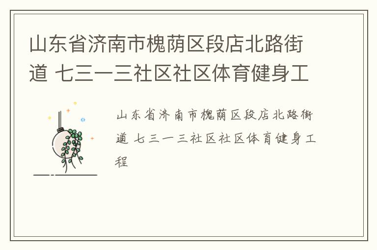 山东省济南市槐荫区段店北路街道 七三一三社区社区体育健身工程