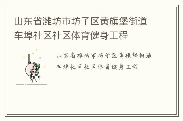 山东省潍坊市坊子区黄旗堡街道车埠社区社区体育健身工程