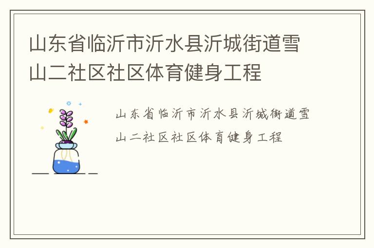 山东省临沂市沂水县沂城街道雪山二社区社区体育健身工程