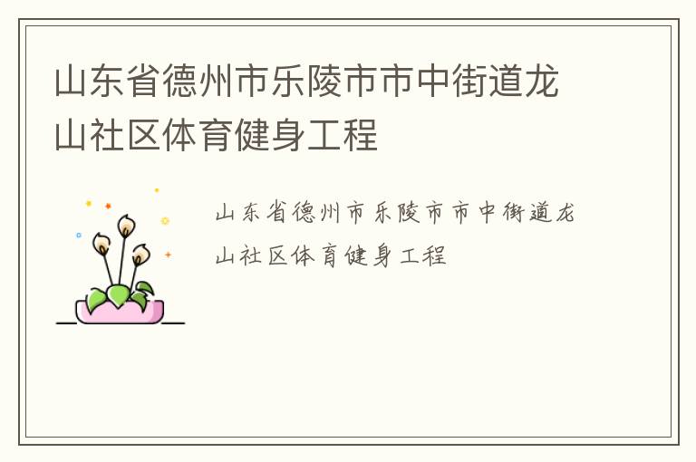 山东省德州市乐陵市市中街道龙山社区体育健身工程