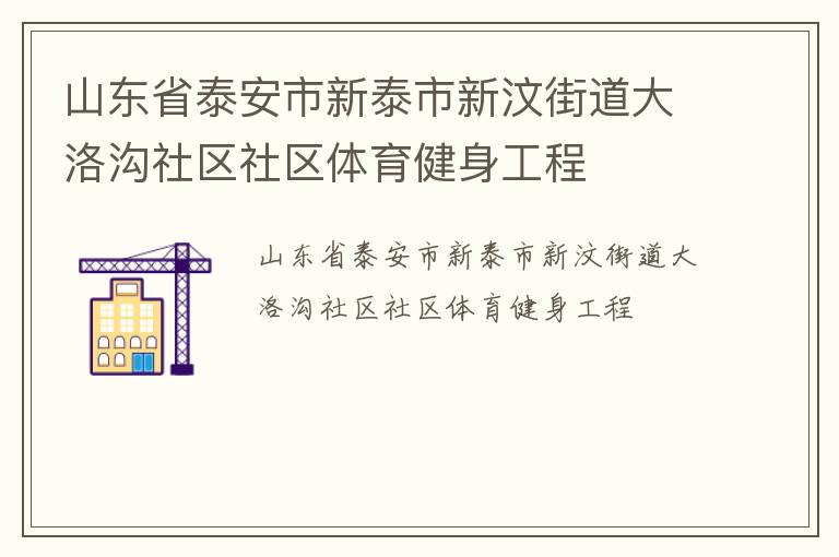 山东省泰安市新泰市新汶街道大洛沟社区社区体育健身工程