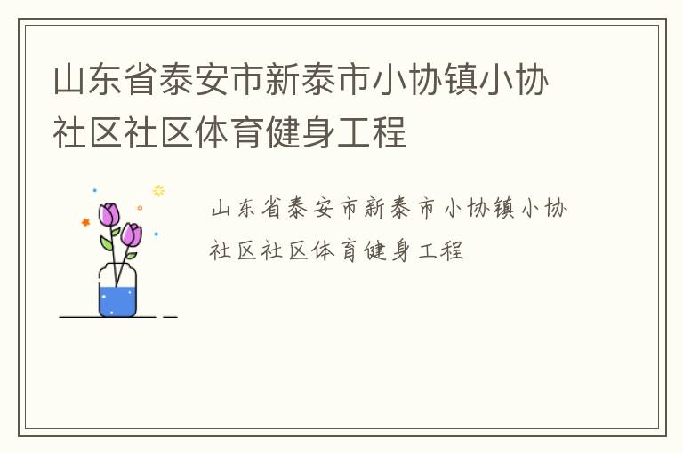 山东省泰安市新泰市小协镇小协社区社区体育健身工程